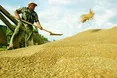 Село нас врятує