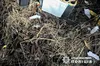 У Харкові в новорічну ніч невідомі дистанційно запустили салют