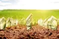 Відкриття ринку землі в Україні: коли стартує земельна реформа та чого очікувати українцям