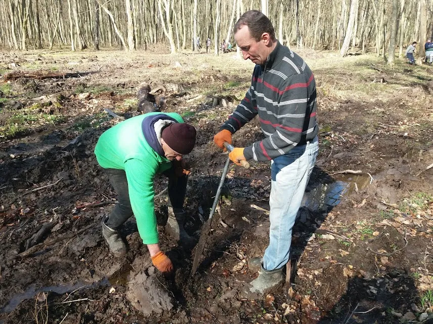 У вологій землі тендітні рослини приживуться швидко. Фото автора.