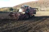 Є гречка. Але є і суперечки довкола неї