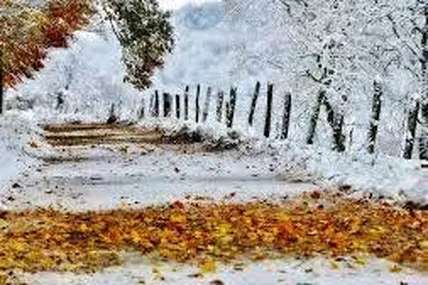 Фото з мережі