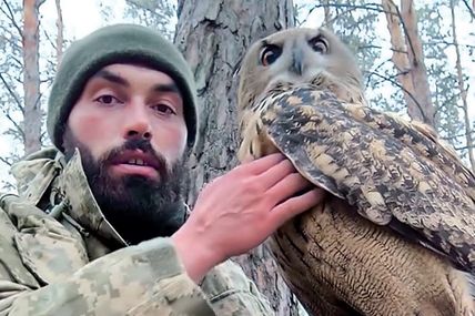 У холодну погоду воїна зігріває&hellip; сова