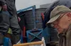 Понад 35 тисяч мальків форелі випустили у річки Львівщини