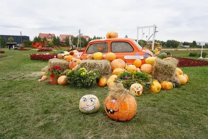50 тонн гарбузів: яскрава фотолокація