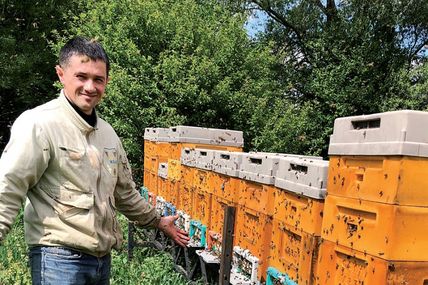 Від музиканта до пасічника
