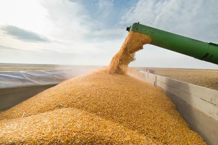росія вкрала українського зерна щонайменше на 1 млрд доларів. Фото із мережі