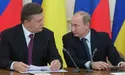 Янукович з Путіним поділили газову трубу?