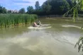 У львівських парках розпочали вапнування водойм для підтримки екосистем