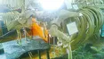 Морські корови дозволяли себе гладити...