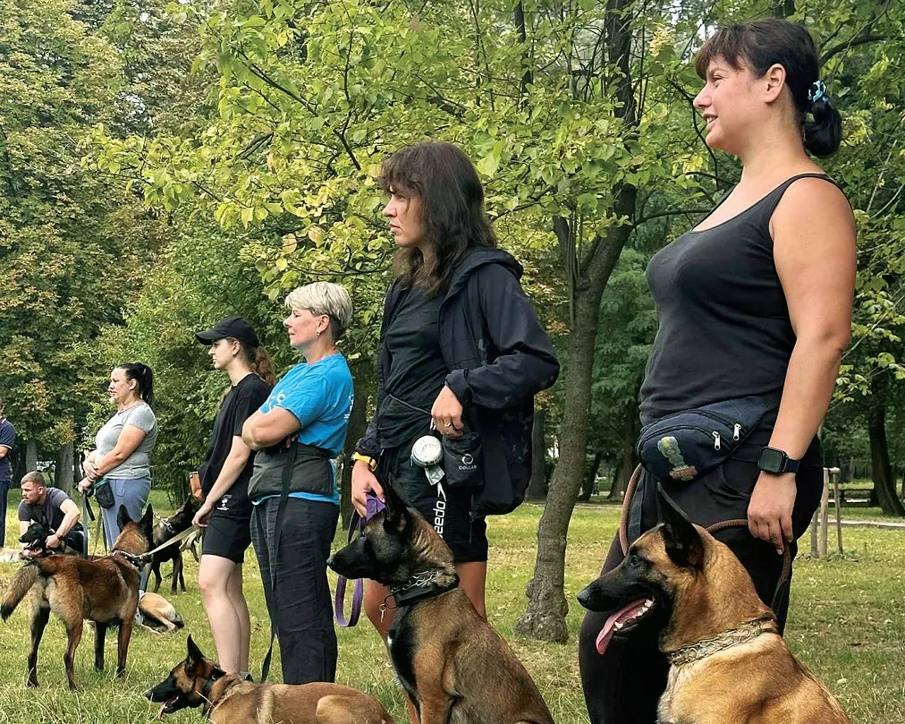 Собаки під час навчання у Левандівському парку