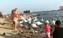 Російські туристи в Криму – «цивілізовані дикуни»