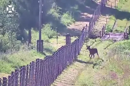 Скрін із відео