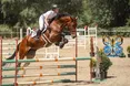 Кінний спорт, емоції та шоу: львів'ян запрошують на відкритий кубок Львова