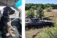 «Хочу докопатися, хто винен у смерті собаки?»