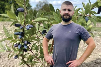 Після поранення повернувся до ягідників