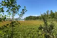 Клондайк червонокнижних видів (фото та відео)