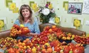 Вирощує помідори аж 80 сортів!