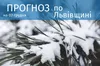 Погода на 2 грудня 2023 року у Львівській області
