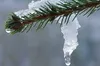 Погода в Україні на Водохреща