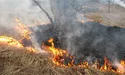 Весна. За роботу беруться палії…