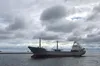 росія знов заблокувала інспекції суден в Босфорі