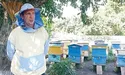 На пасіці постав музей меду