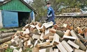 Рубають з плеча: «сирі» закони — як сирі дрова…