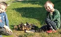 Хазяйнують на своїй землі