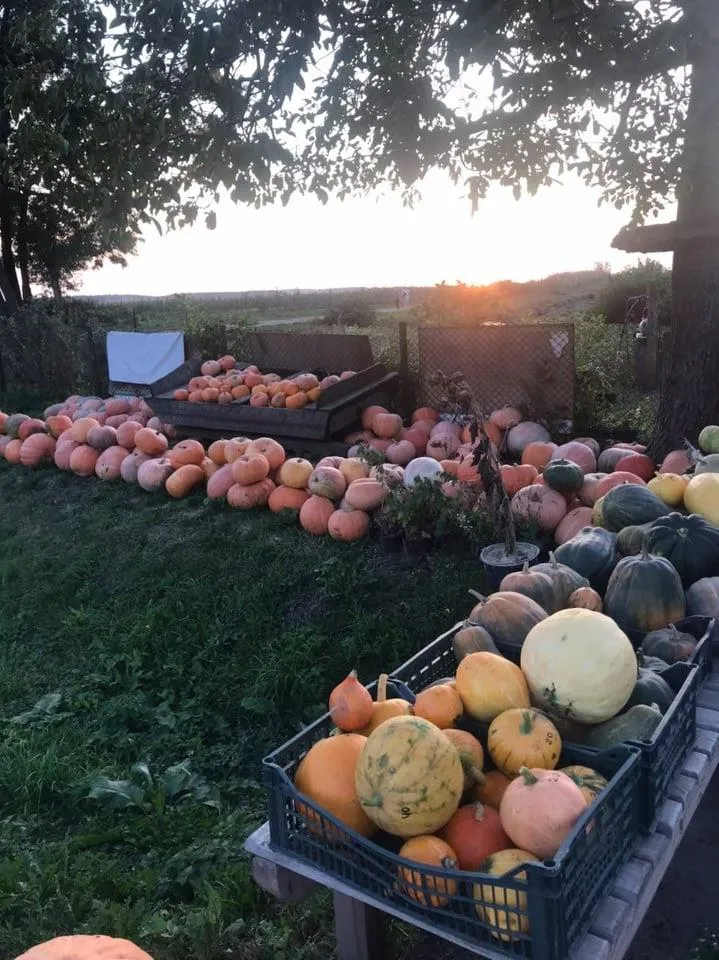 Фото Юлії Підлужної