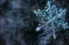 Прогноз погоди на 23 лютого 2023 року