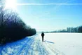 «Сонячний» елемент
