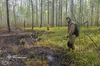 Масштабні лісові пожежі охопили чотири області України: горить понад 2 тисячі гектарів