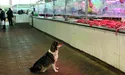 «У таке дороге пальто одягнена, а шматок м’яса купити не можеш!»