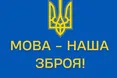 Секретаріат Уповноваженого із захисту державної мови продовжує роботу без очільника: як саме
