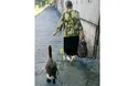 По гарячому асфальту гусак ходить у… черевичках