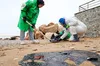 У Севастополі ліквідовують наслідки катастрофи російських танкерів: зібрано понад 592 тонни забрудненого ґрунту