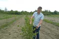 Горішок може стати «золотим» лише через сім років, або Як адвокат заклав горіховий сад