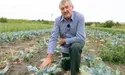 Щосезону — по кілька врожаїв