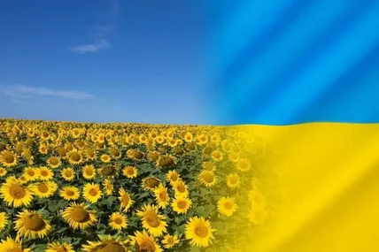Фото: 24 канал