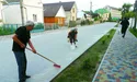 Патріоти вулиці Устияновича боронять свою дорогу