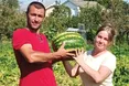 Херсонські кавуни «переїхали» на Прикарпаття