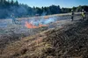 Протягом доби на Львівщині ліквідували 77 пожеж: з них 55 пожеж — в екосистемах