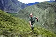 Лавровий вінок для «самця» Путіна