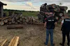 На Львівщині викрили масштабну схему незаконної вирубки лісу на 9 мільйонів гривень