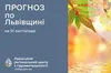 До 17° тепла: прогноз погоди на Львівщині на 1 листопада