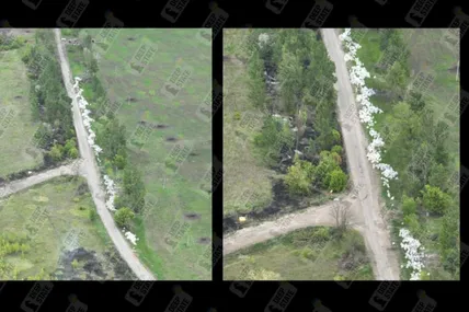 Фото: Олег Синєгубов