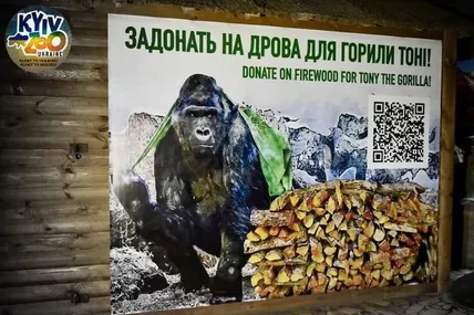 Фото зоопарку