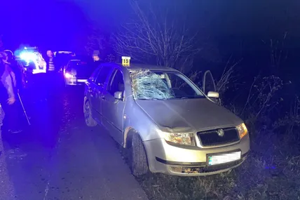 Фото: Поліція Львівської області