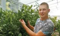 У Сумах ростуть теплолюби